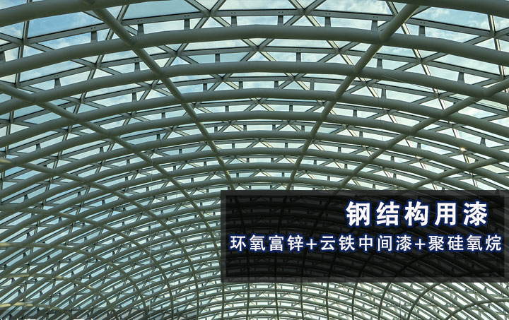 ����Ϳ��