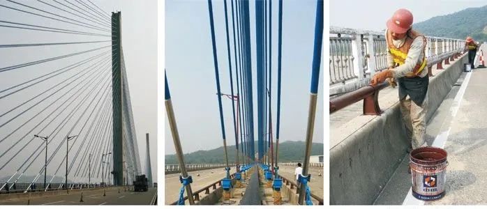 �o(w��)�܄�����Ϳ��